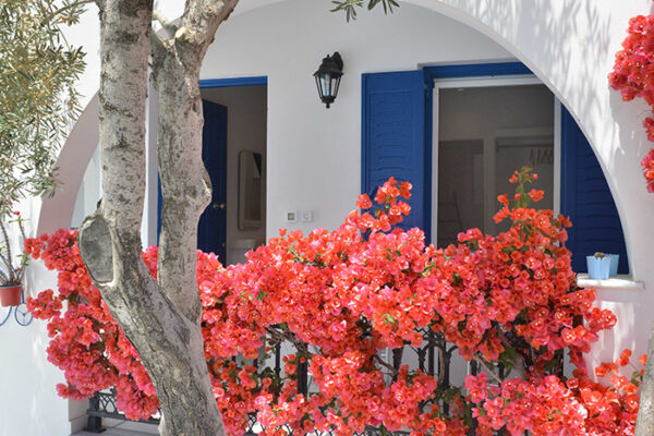 deluxe-double-dedalos (10)