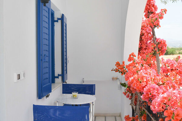 deluxe-double-dedalos (8)